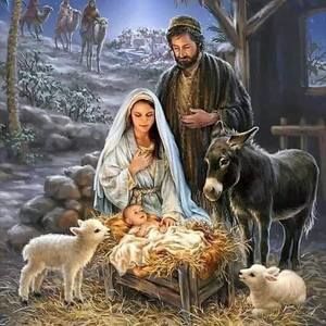 Meet your Posher, Katia